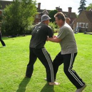 2008 Cranbrook 17