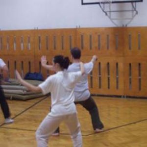 Oblique Single Whip