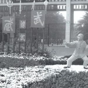 Entrance to Local Park, Zhengzhou