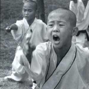 Shaolin boys (2)